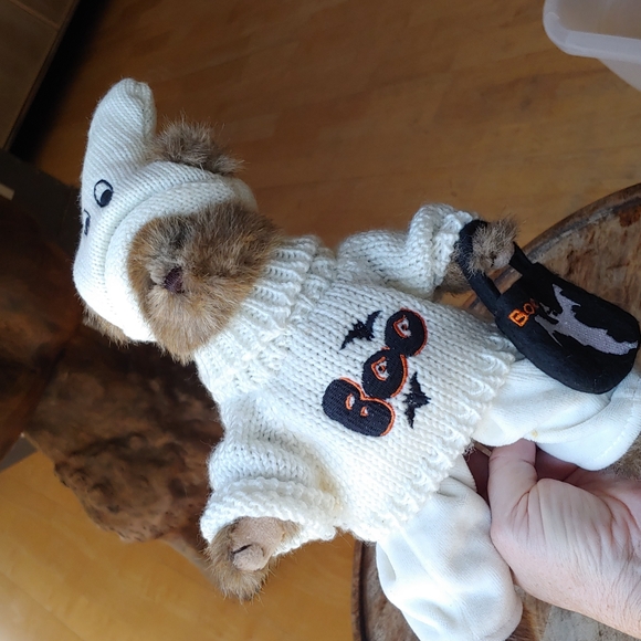Other - Adorable bear
